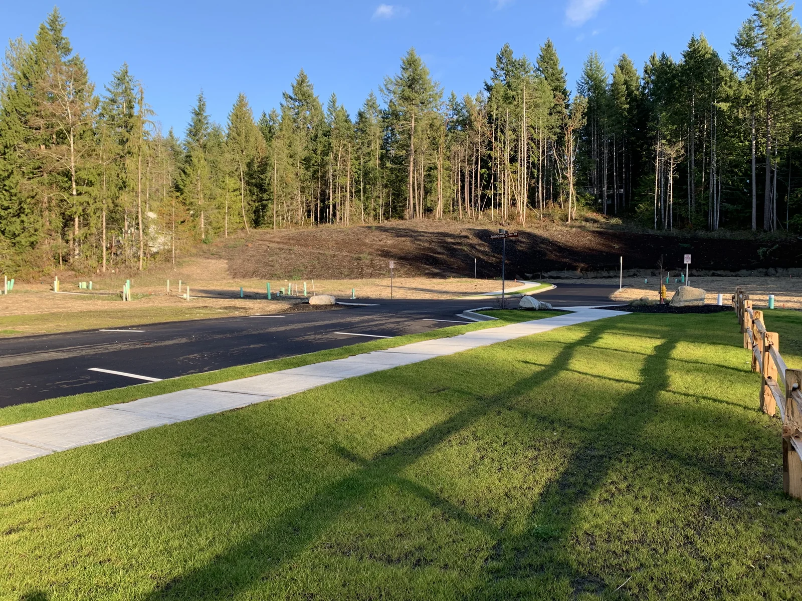 Roadway, sidewalks, and utility connections within a wooded development site