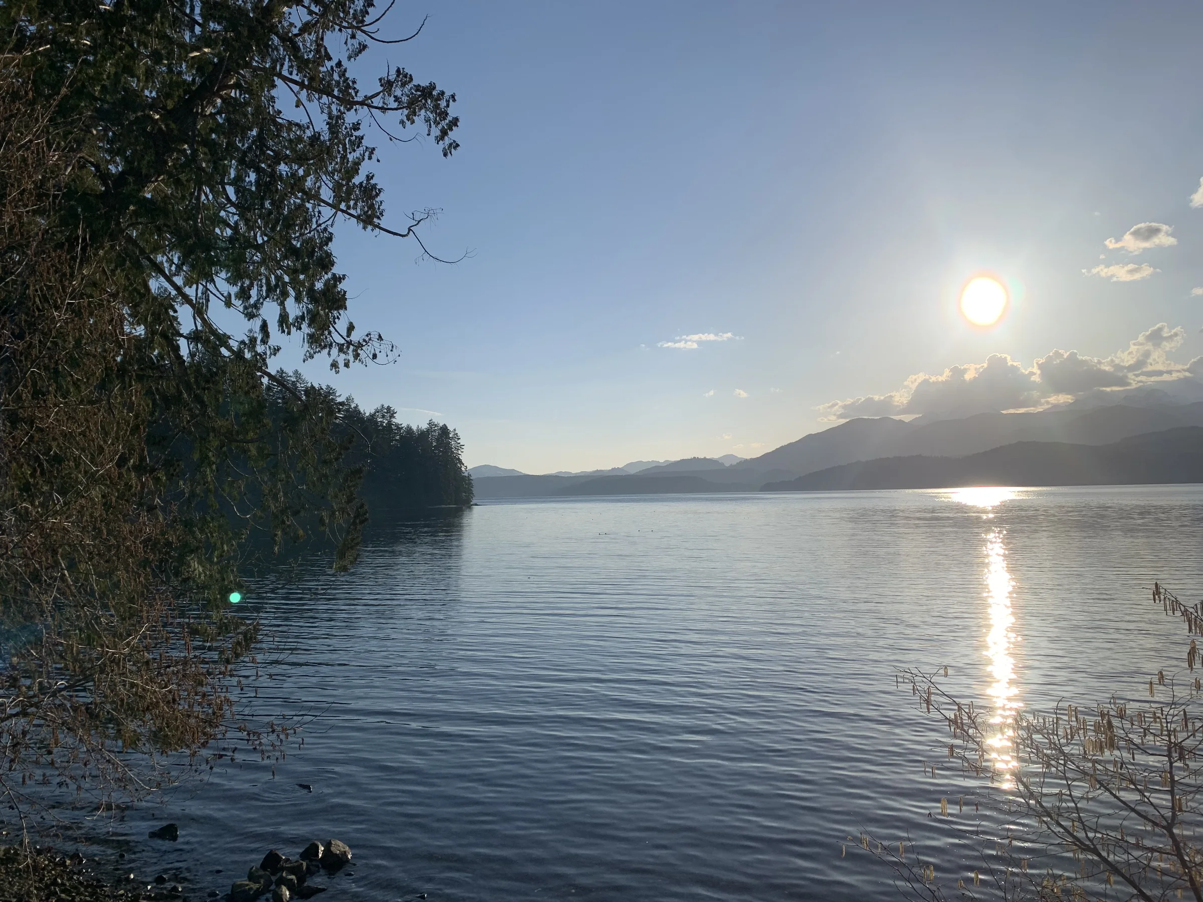 Evening light across calm Northwest waters, framed by evergreen trees